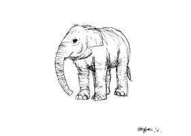 Elephant in London Zoo with White mount (A4) in Flat grain black frame for A4 mounts (J90)