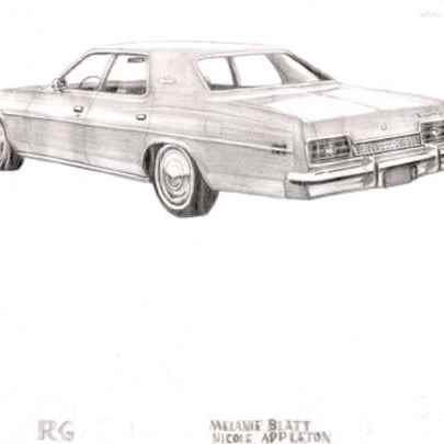 The Artwork 1973 Ford Galaxy 500